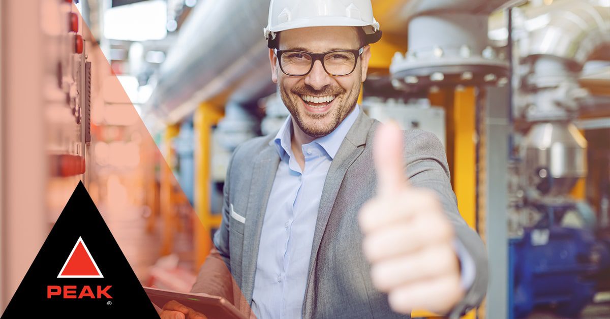 TECHNICAL EXPERTISE PERFORMANCE REVIEW visual data 2